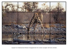 Puzzle-Giraffe-1.pdf